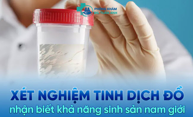 Bác Sĩ Xét Nghiệm Tinh Dịch Đồ Ở Vinh Nghệ An Uy Tín Chính Xác 2